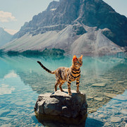 слава славин on My World.