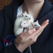 Таисия Мишина on My World.