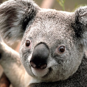 Danil Karakulov on My World.