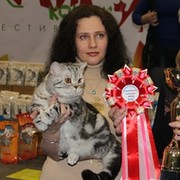 Анна Фельгрон on My World.