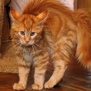 Катерина Александрова on My World.