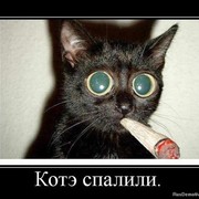 Александр Лужнов on My World.
