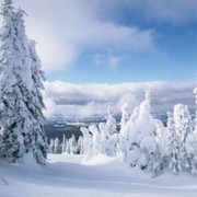 Антонина Прокофьева on My World.