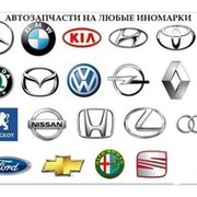 Екатерина Авдеенко on My World.