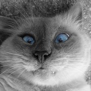 Любовь Бобылева on My World.