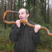 дядя Роджер on My World.