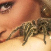 Елена Гараджа on My World.