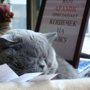 дед мороз on My World.