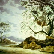 Ismoil Ziyayev on My World.