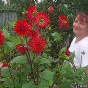 таня семёнова on My World.
