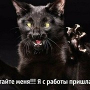 Светлана Егорова on My World.