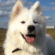 Виталик Зубович on My World.