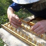 Николай Гусев on My World.