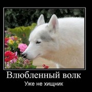 александр карпов on My World.