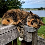 Oksana summer on My World.