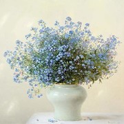 Валентина Овчинникова on My World.