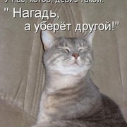 Василий Котофеевич on My World.