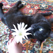 марина пименова on My World.