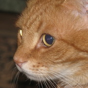 Maksim epson on My World.