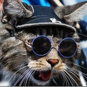 Котяра Мудрый on My World.