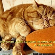 mischa erinov on My World.