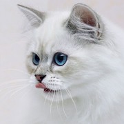 Світлана ххххххх on My World.