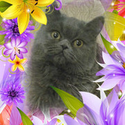 @ Tatyana @ on My World.