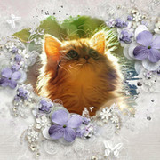 Наталья Кошкина on My World.