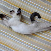 Неонила Котова on My World.