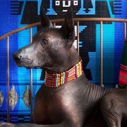 наташа котлин клондайк on My World.