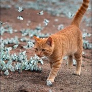 Светлана Подвиза on My World.