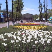 Светлана Банченко on My World.