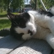 Сергей П on My World.