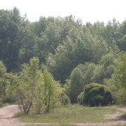 Эдуард Бахарев on My World.