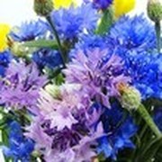 Наталия Васильева on My World.